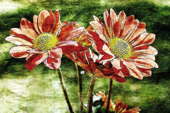 Download Printable Flower Graphics Pack# 01 - Flower graphics Collection