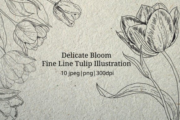 Download Delicate Bloom - Fine Line Illustration - Illustration Collection