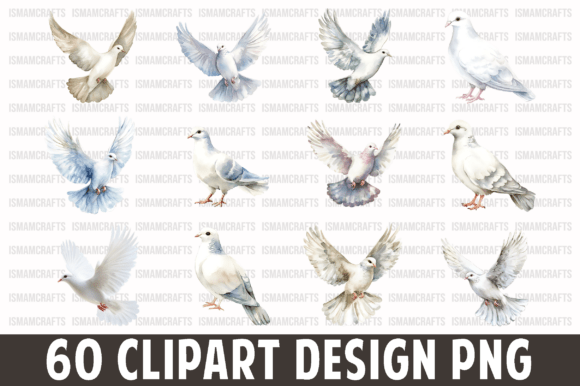 Download Dove Watercolor Clipart Bundle PNG - Dove Collection